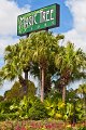 Magic Tree Resort-4236